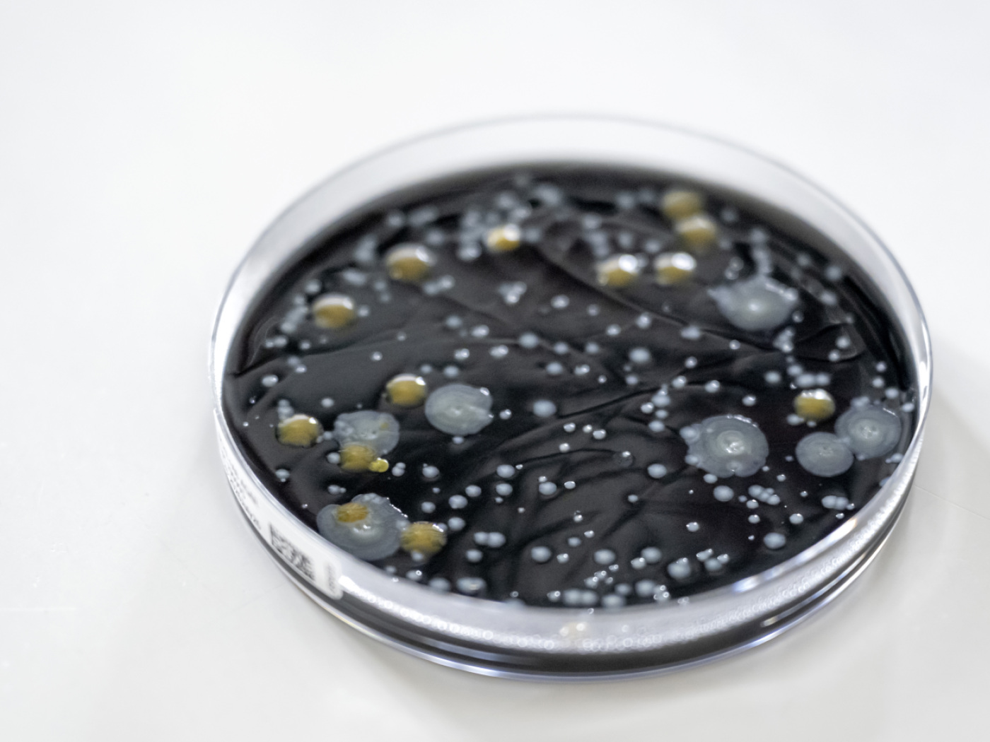 According to the Basel authorities, the Legionella outbreak has come to an end