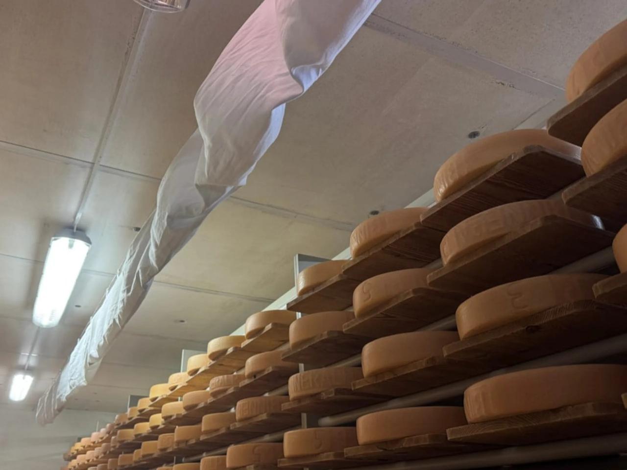 Scaffali per formaggi