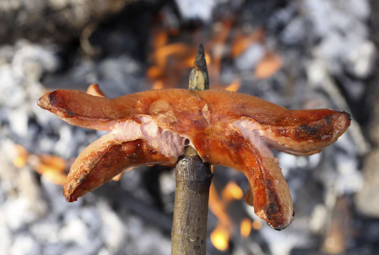 “Molti svizzeri affermano di essere pronti a ridurre i viaggi in aereo o il consumo di carne, ma i fatti raccontano un’altra storia”.