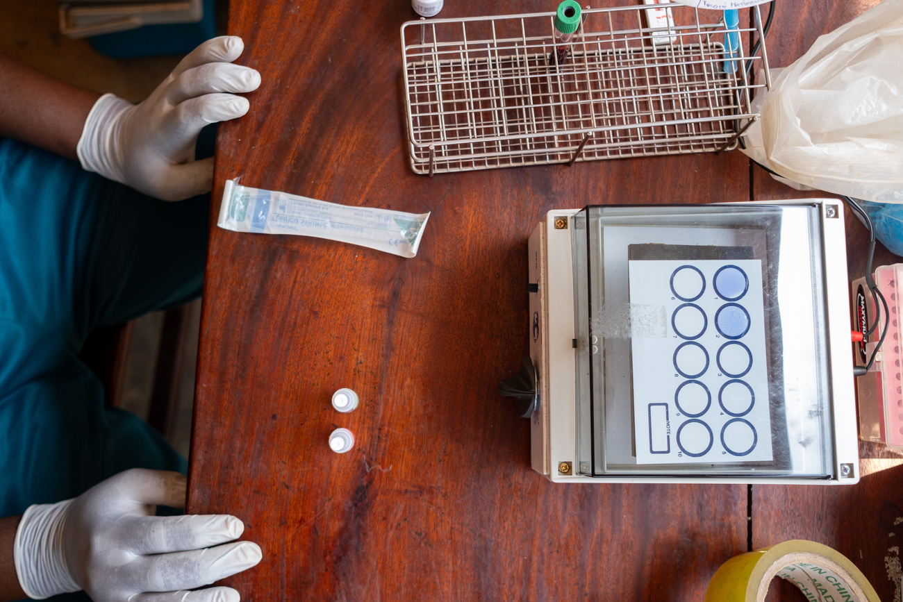 lab