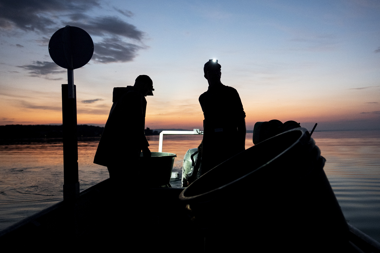 Fischer im Abendrot