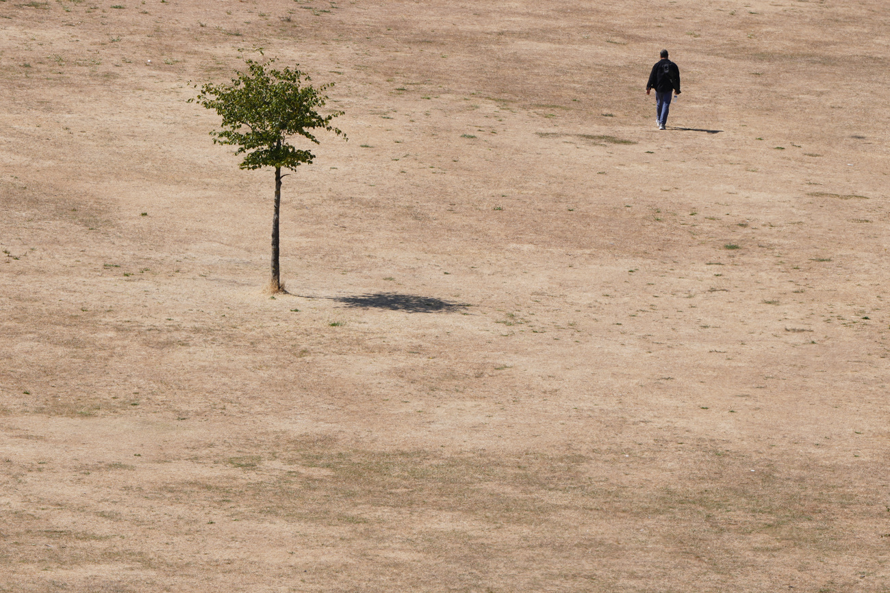 A man walks across a park in London on August 9, 2026.
