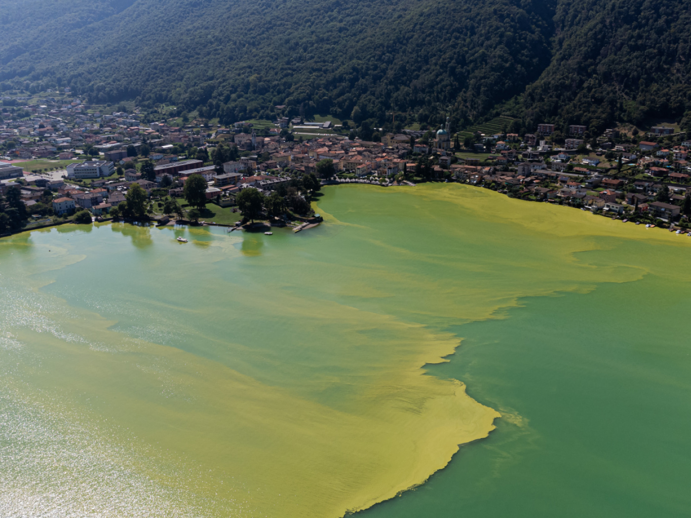 lago