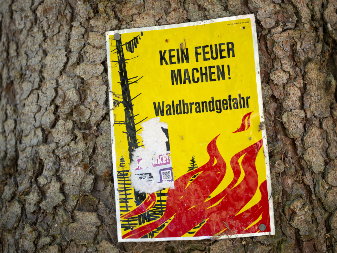 Rock festival in Gelterkinden, Basel-Landschaft, cancelled due to the drought