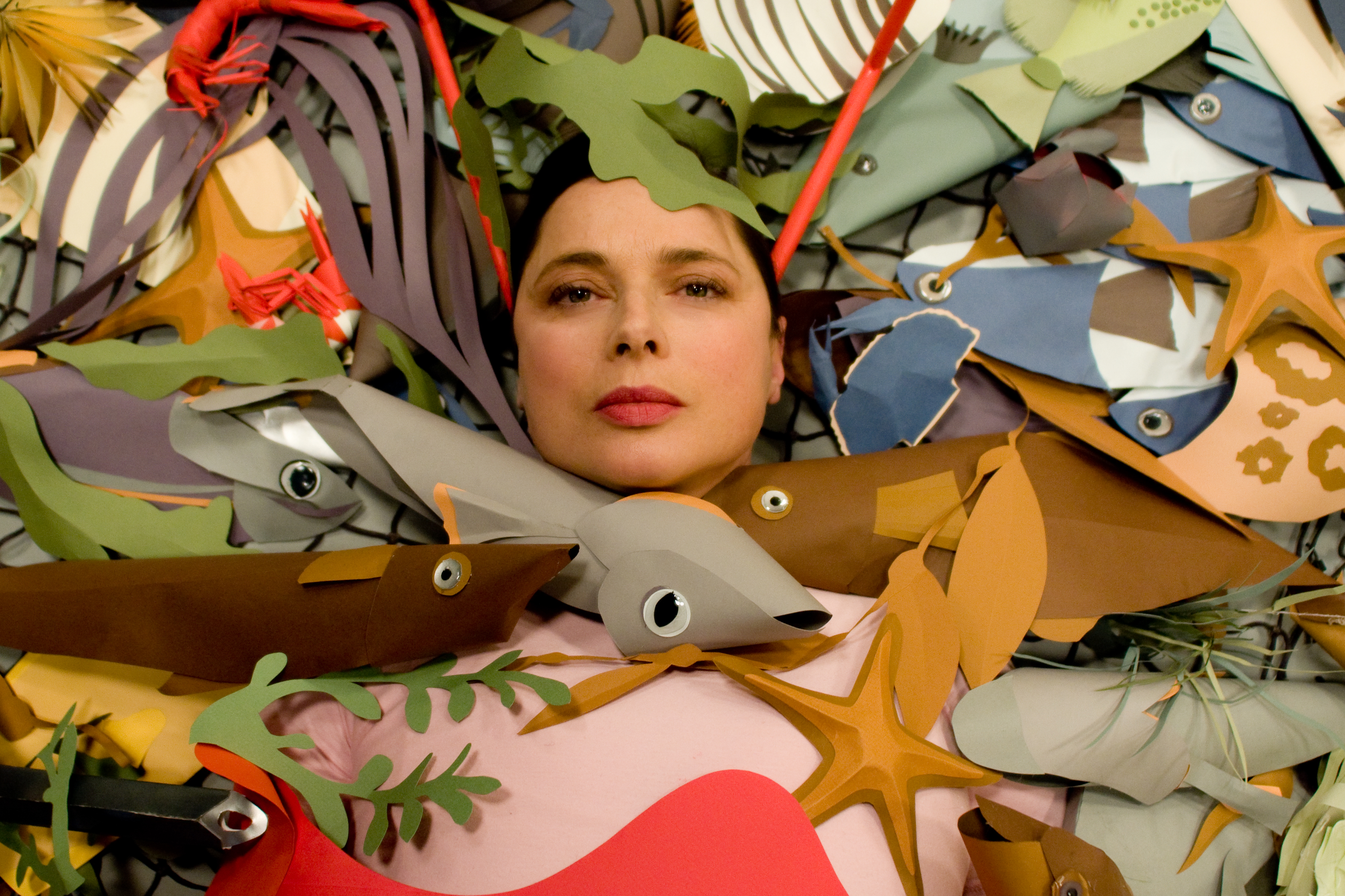 Promotional picture of Rossellini's "Green Porno" series, with Fly, Snail, Worm, Anchovy, Shrimp, and Squid.