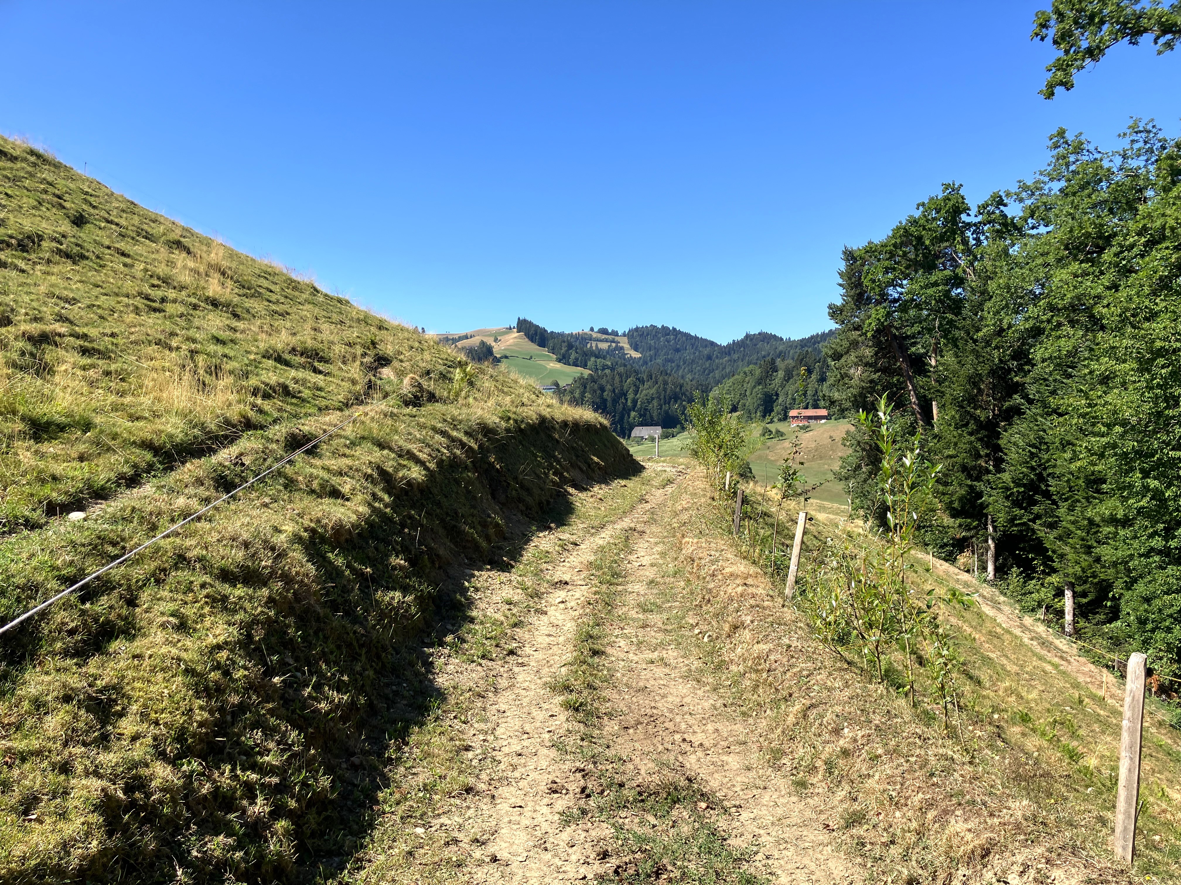 strada sterrata su un pendio