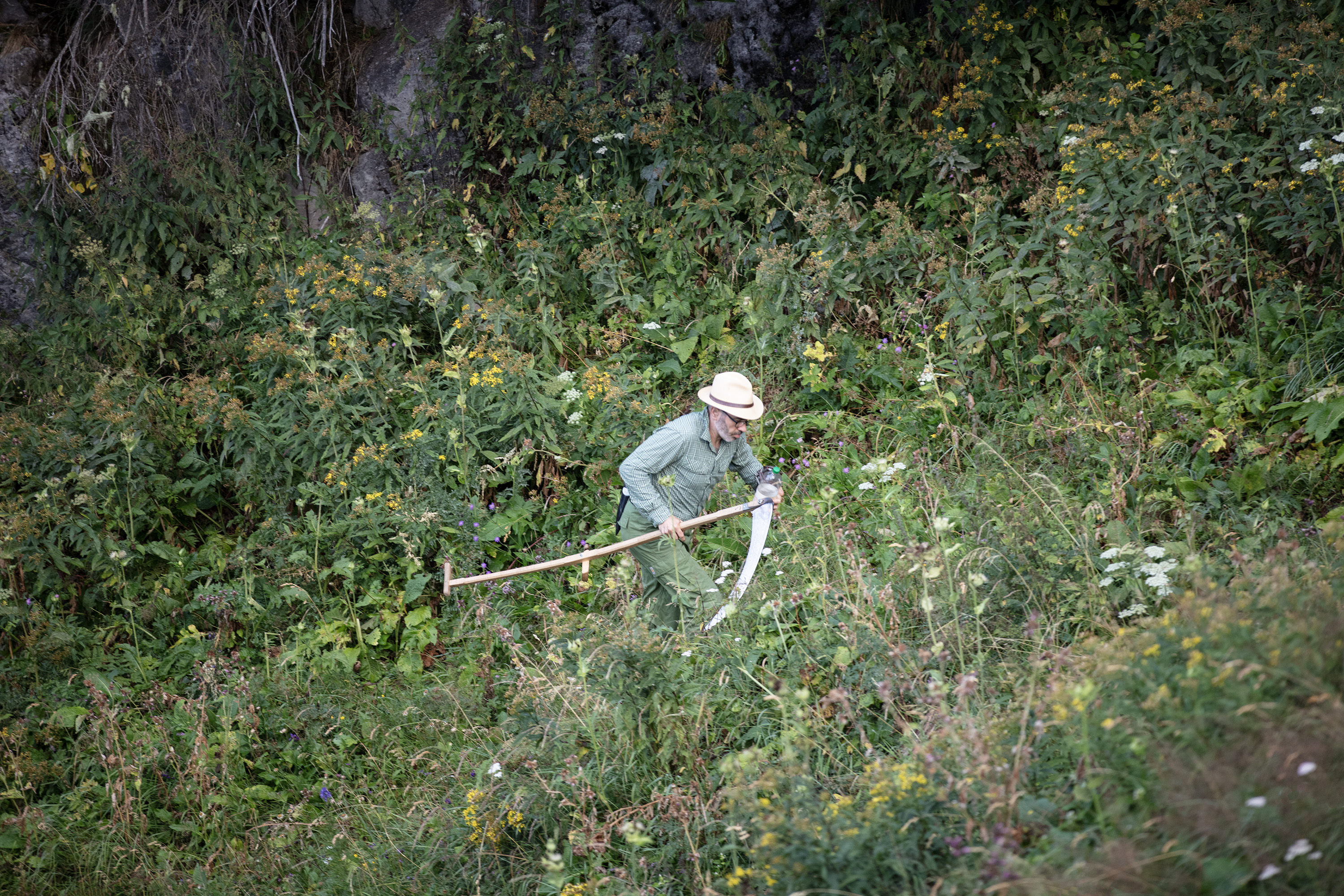 Ein Mann mit Strohhut und Sense an einem artenreichen, sehr steilen Hang mit vielen Alpenblumen