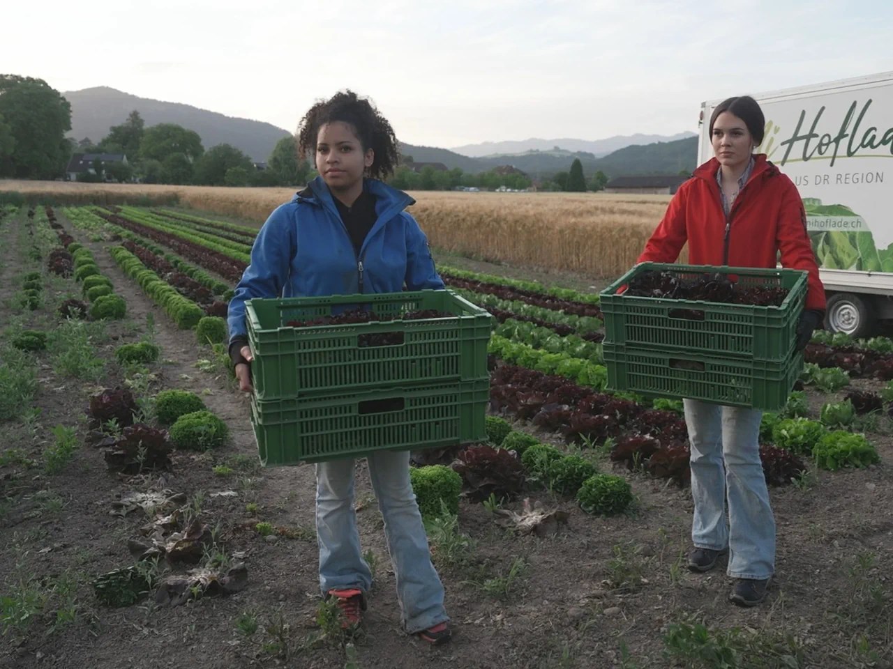 Voici à quoi ressemble le volontariat à la ferme