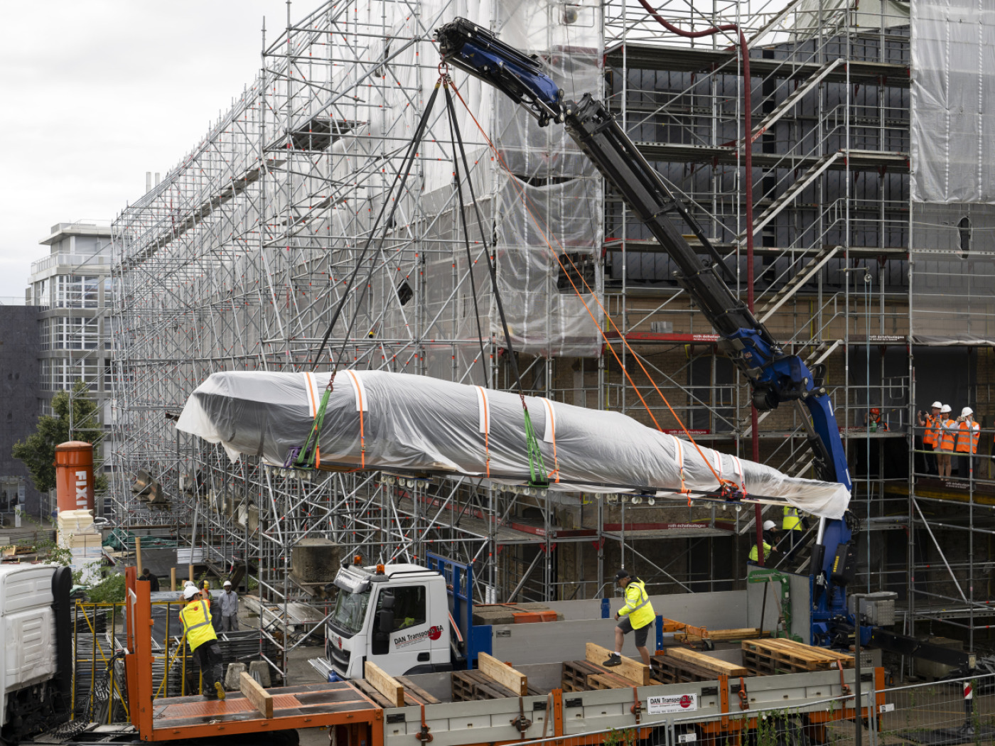 Whale specimen moves into new museum building in Freiburg