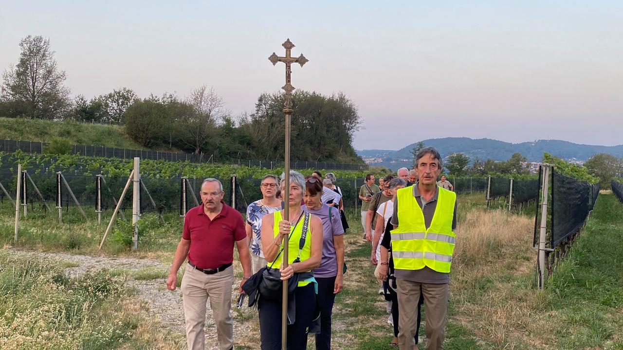 processione religiosa tra le vigne