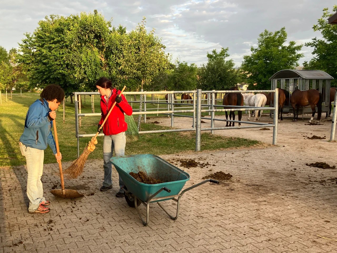 Voici à quoi ressemble le volontariat à la ferme