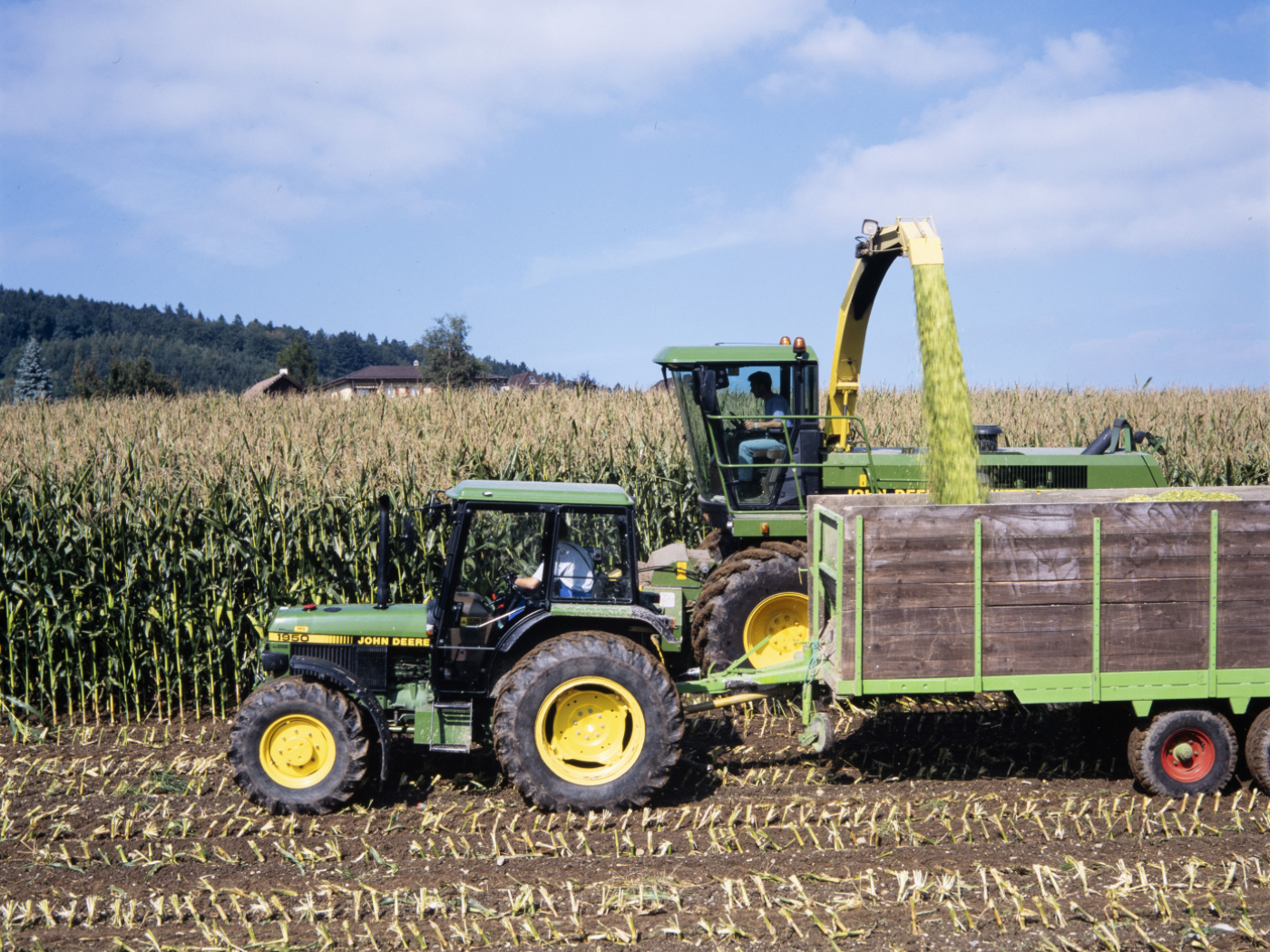 Free maize imports permitted due to ongoing drought