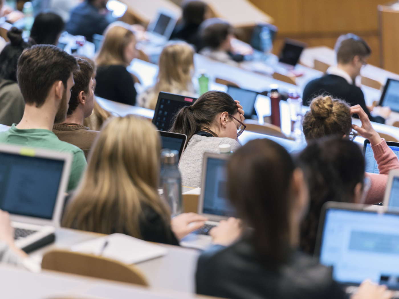 Unemployment among university graduates is on the rise