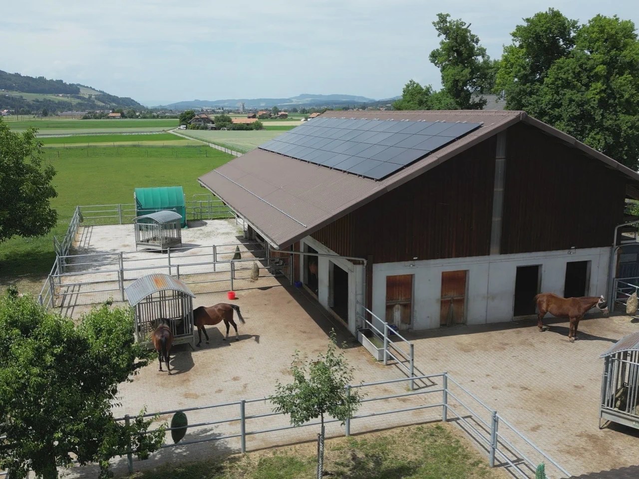 Voici à quoi ressemble le volontariat à la ferme