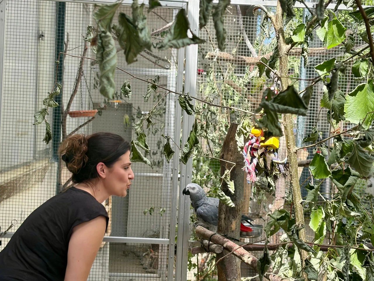 Une femme et un perroquet gris