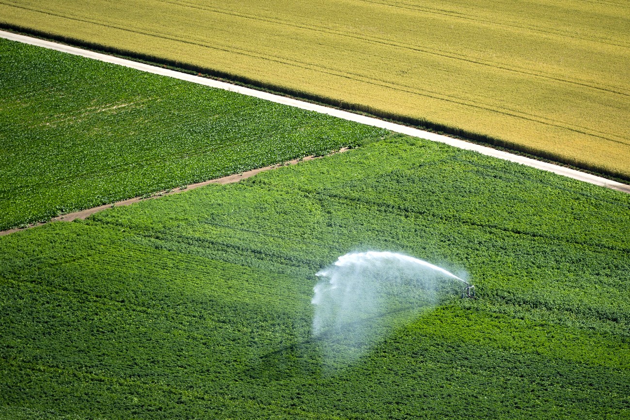 impianto di irrigazione in un campo