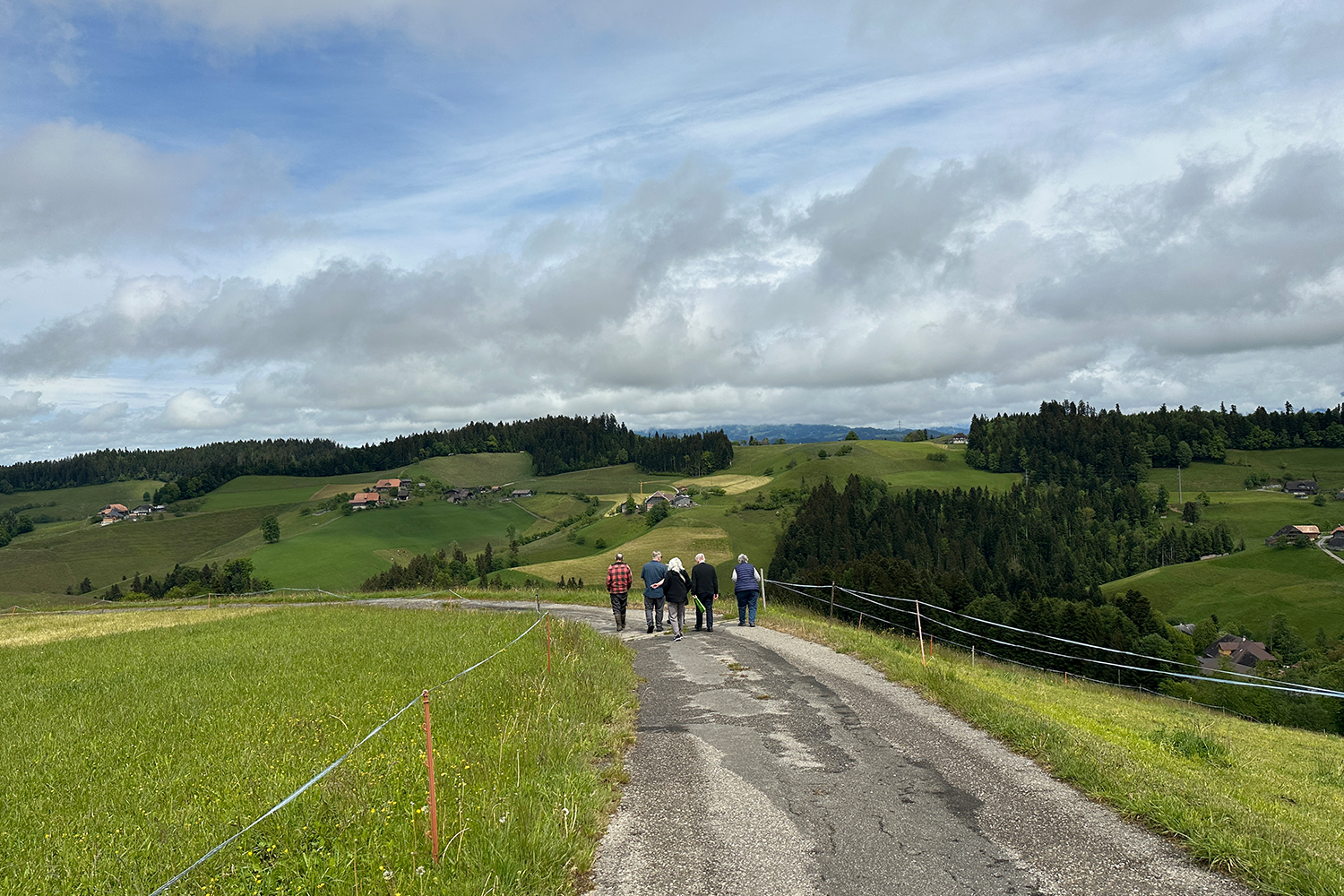 Eine Gruppe von Menschen, die auf einem Weg durch Grasfelder auf einem Hügel spazieren