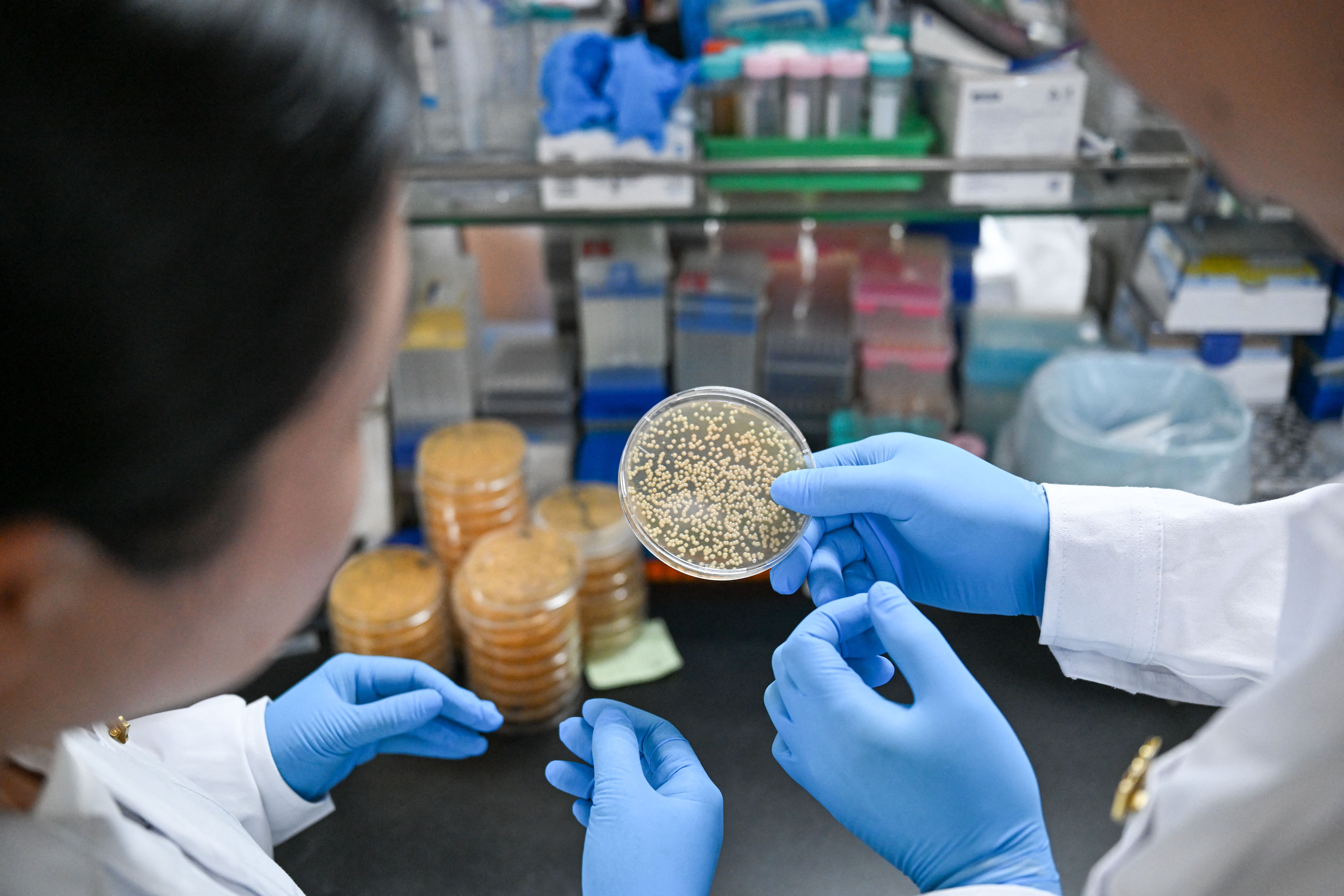 laboratory