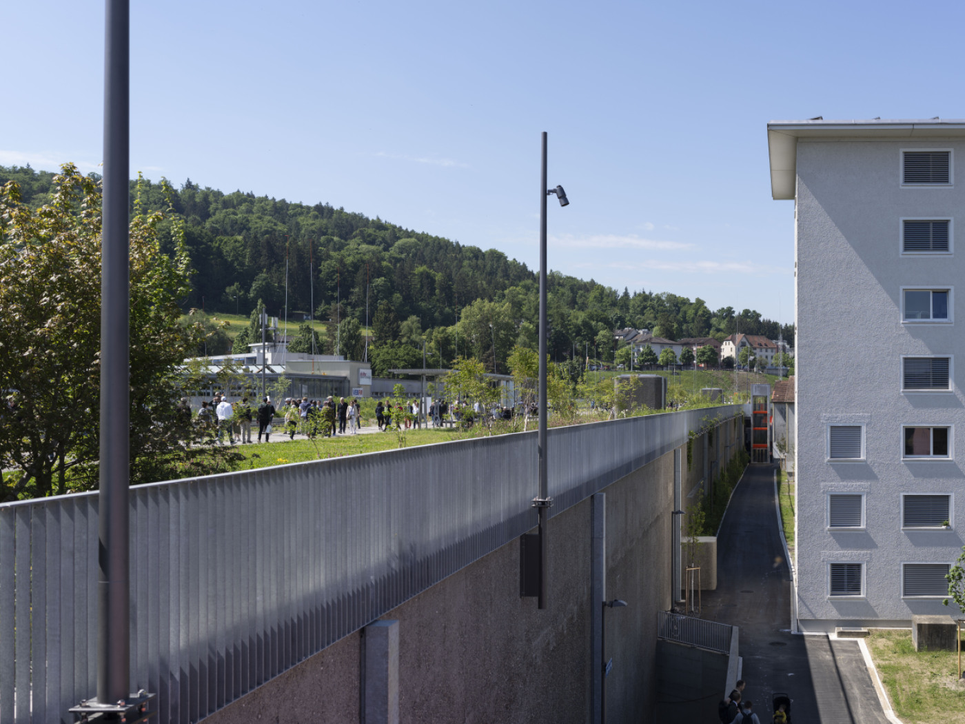 The City of Zurich is stepping up its efforts to replace tarmac with trees