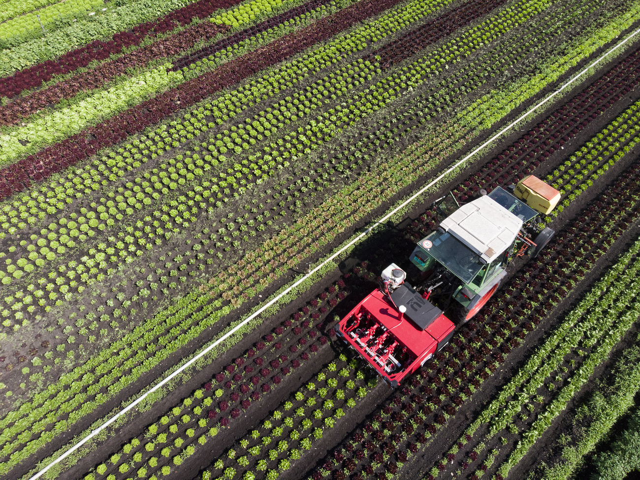 tractor