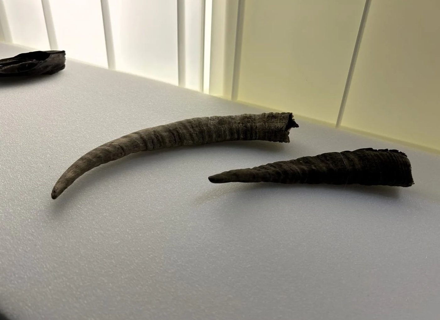 Parts of a bow found on the Lötschen Pass.