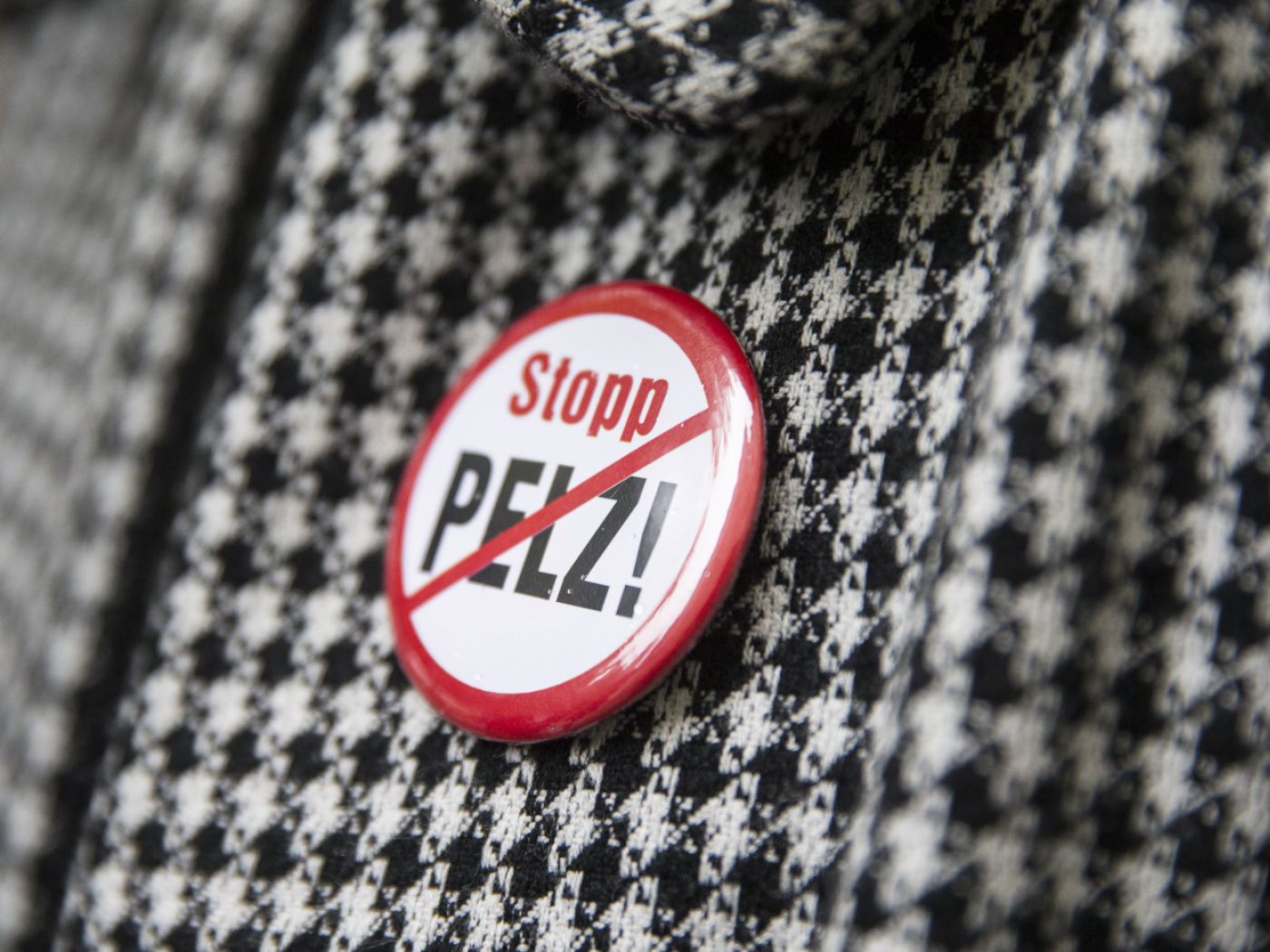 Swiss parliament tightens rules against fur abusers