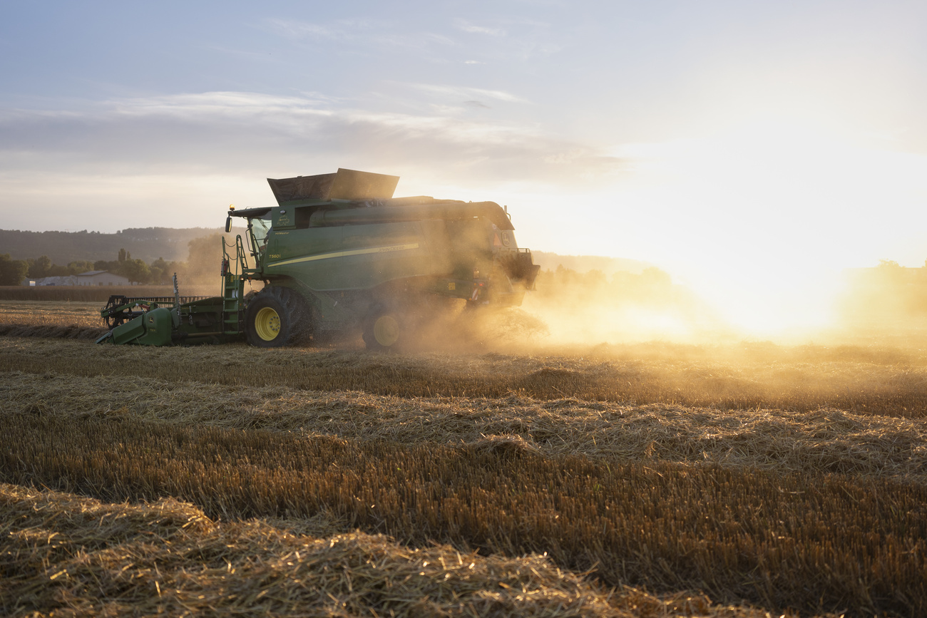 macchinario agricolo su campo