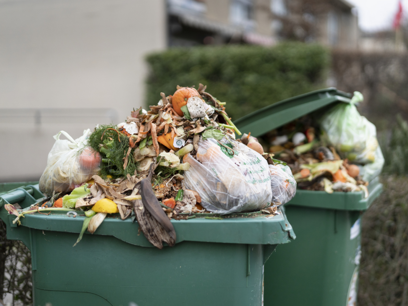 A wide-ranging week of hands-on activities to tackle food waste