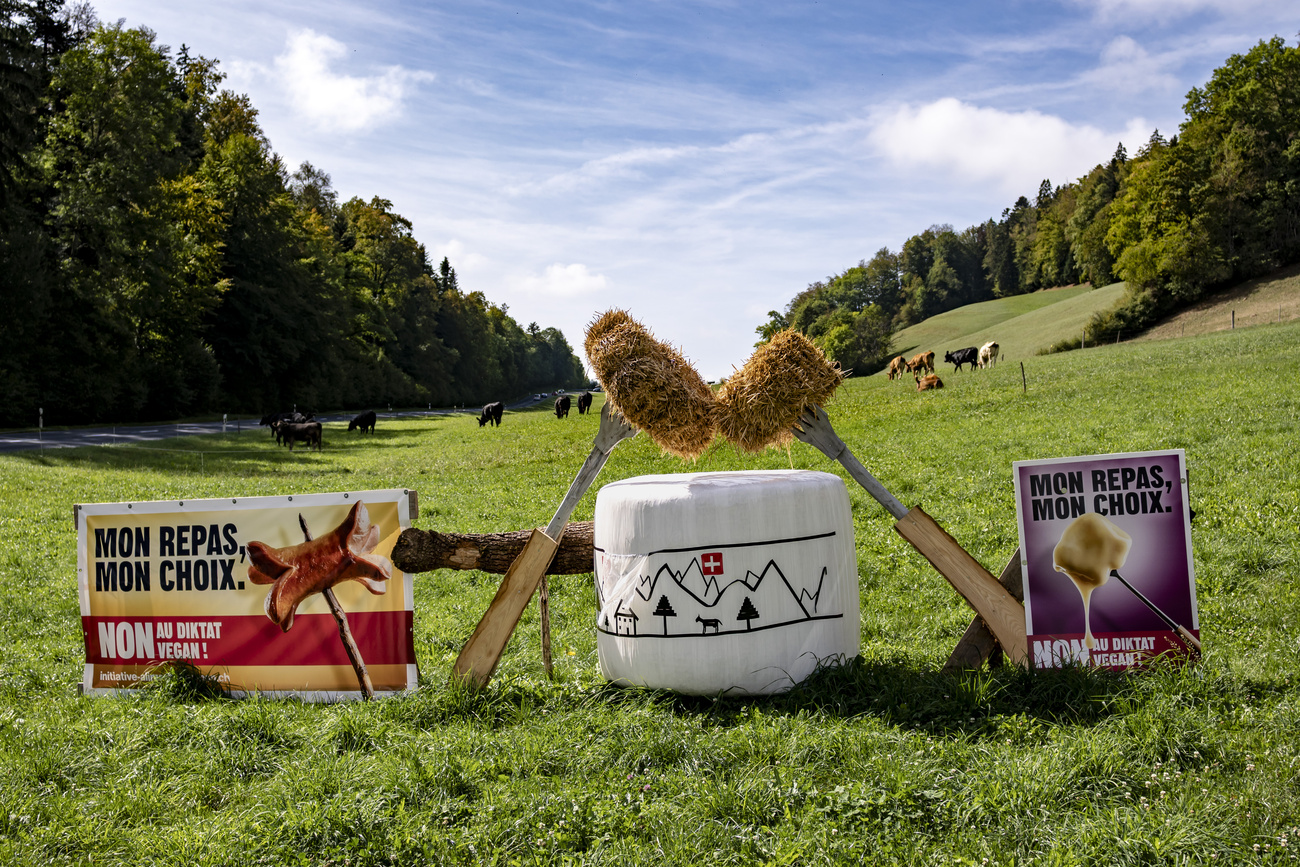 initiative sur l'alimentation