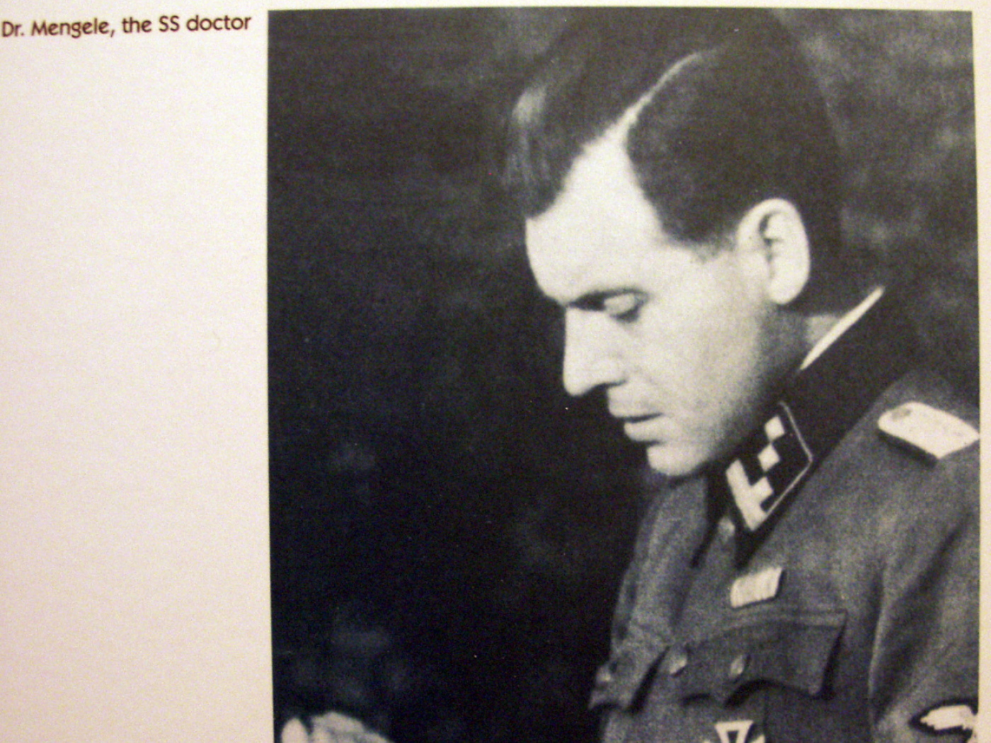 Dossier "Mengele", parzialmente oscurato, accessibile online
