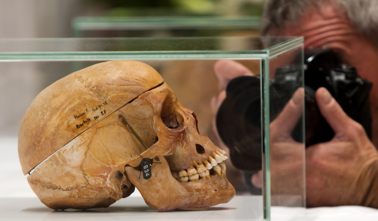 Un cráneo nama en Berlín antes de su devolución a Namibia (2011). El destino de estos restos óseos, que en su día fueron objeto de abuso para la investigación racial colonial, es el mismo que el de miles de restos humanos que, a día de hoy, siguen almacenados en los depósitos de los museos de Suiza y otras partes de Europa.