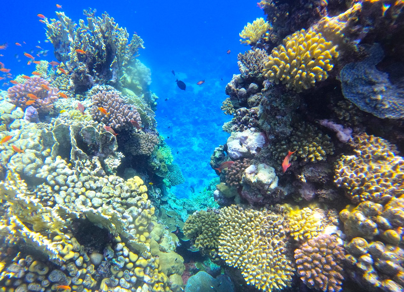 How Warming Oceans Affect Europe's Climate and Weather - News Directory 3