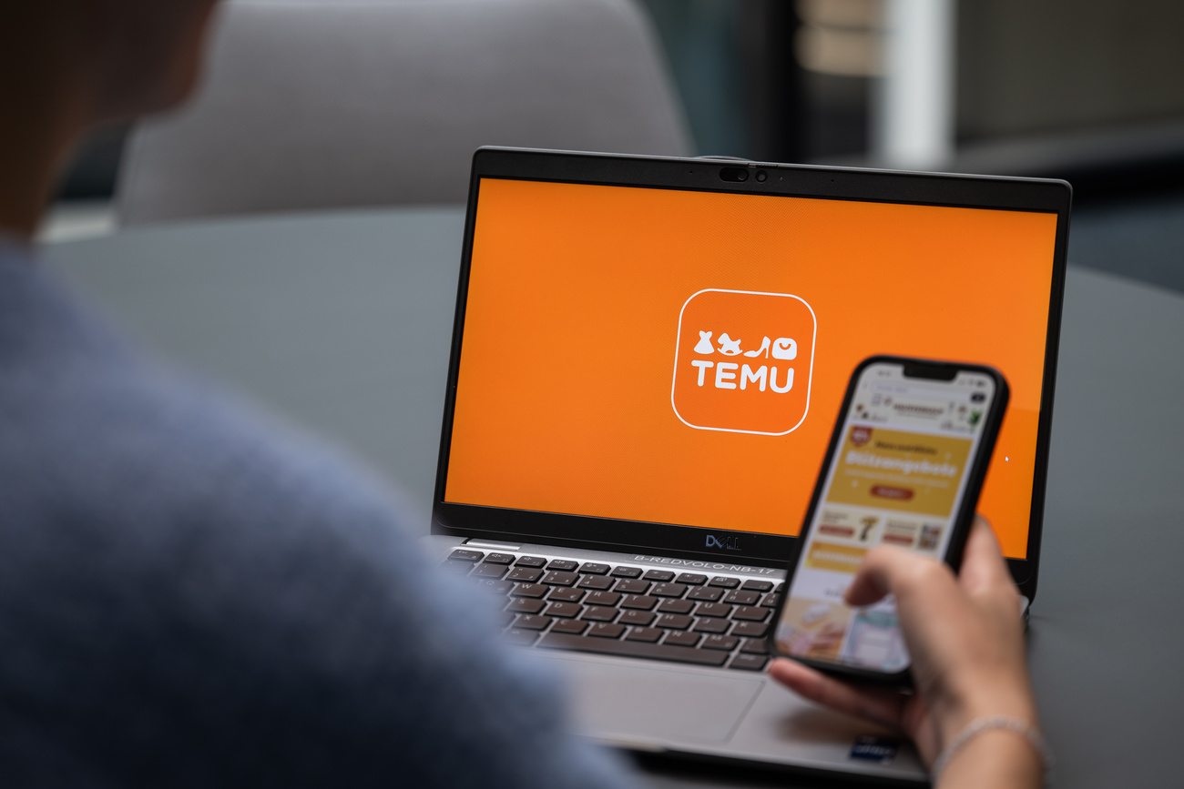 Person using Temu service