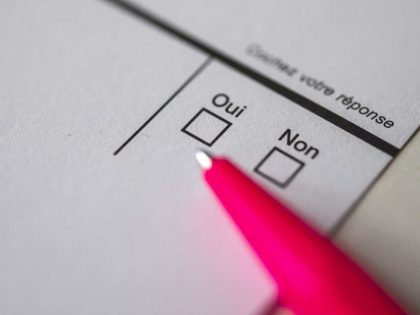 Disability: equal political rights for everyone