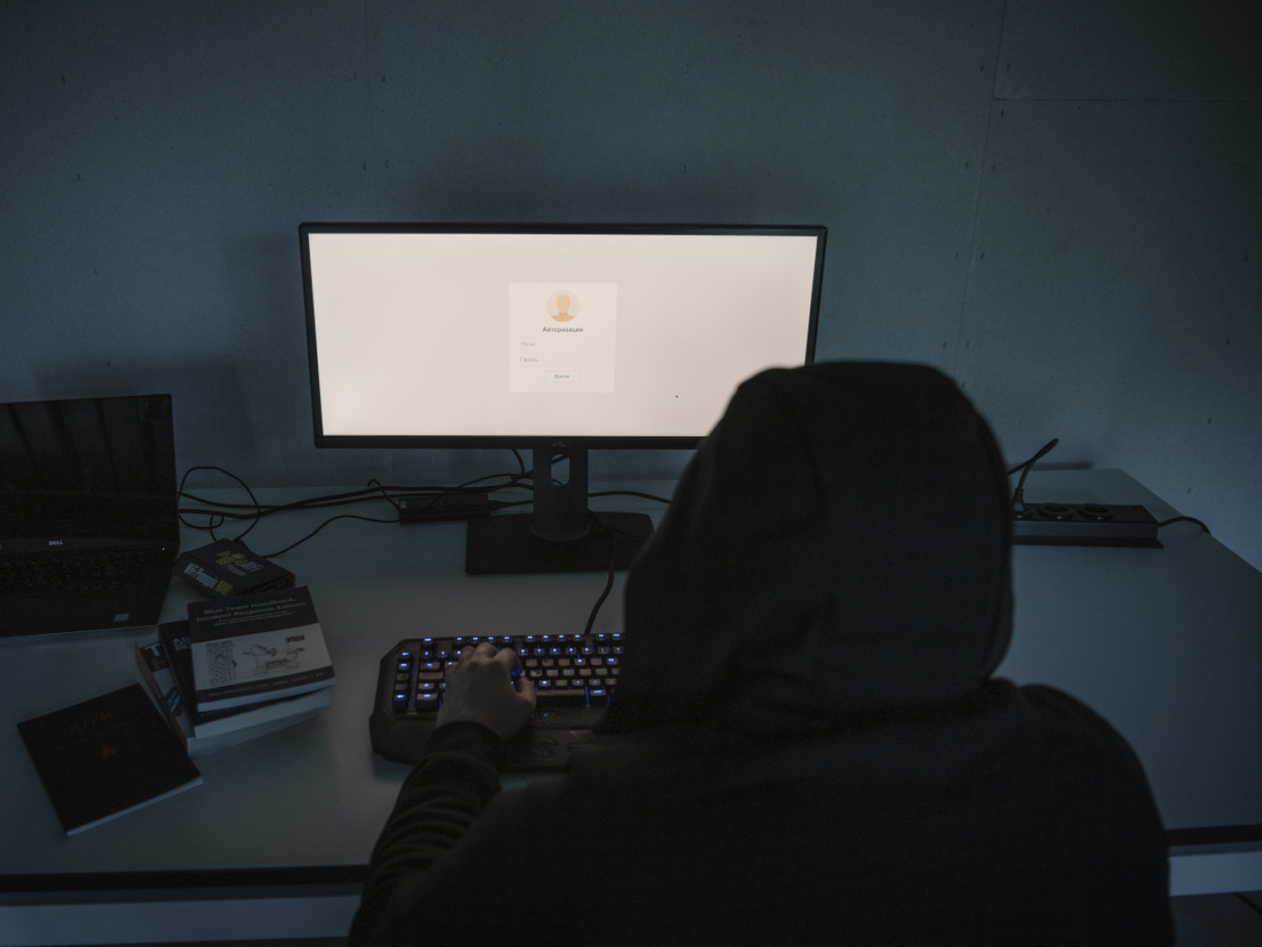 Smantellata rete internazionale di hacker