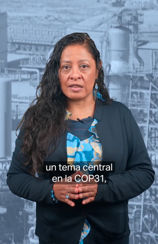 Suiza y su consumo de combustibles fósiles.