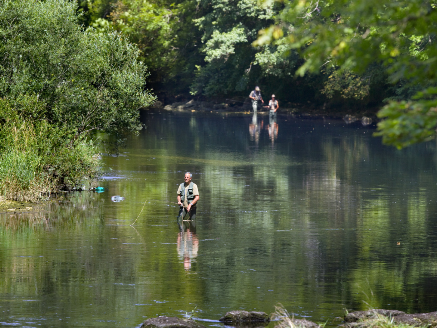 Rescue fishing: nearly 9,600 fish caught in the Jura