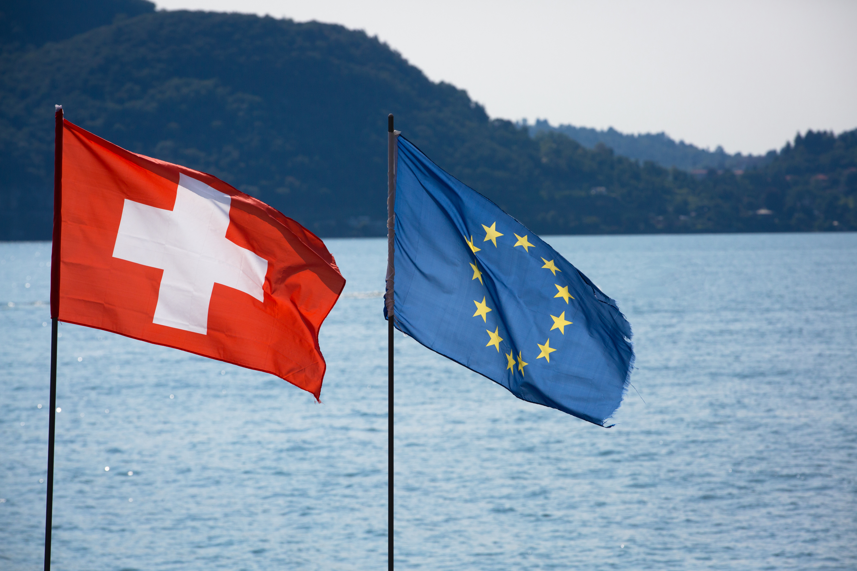 Swiss EU flags