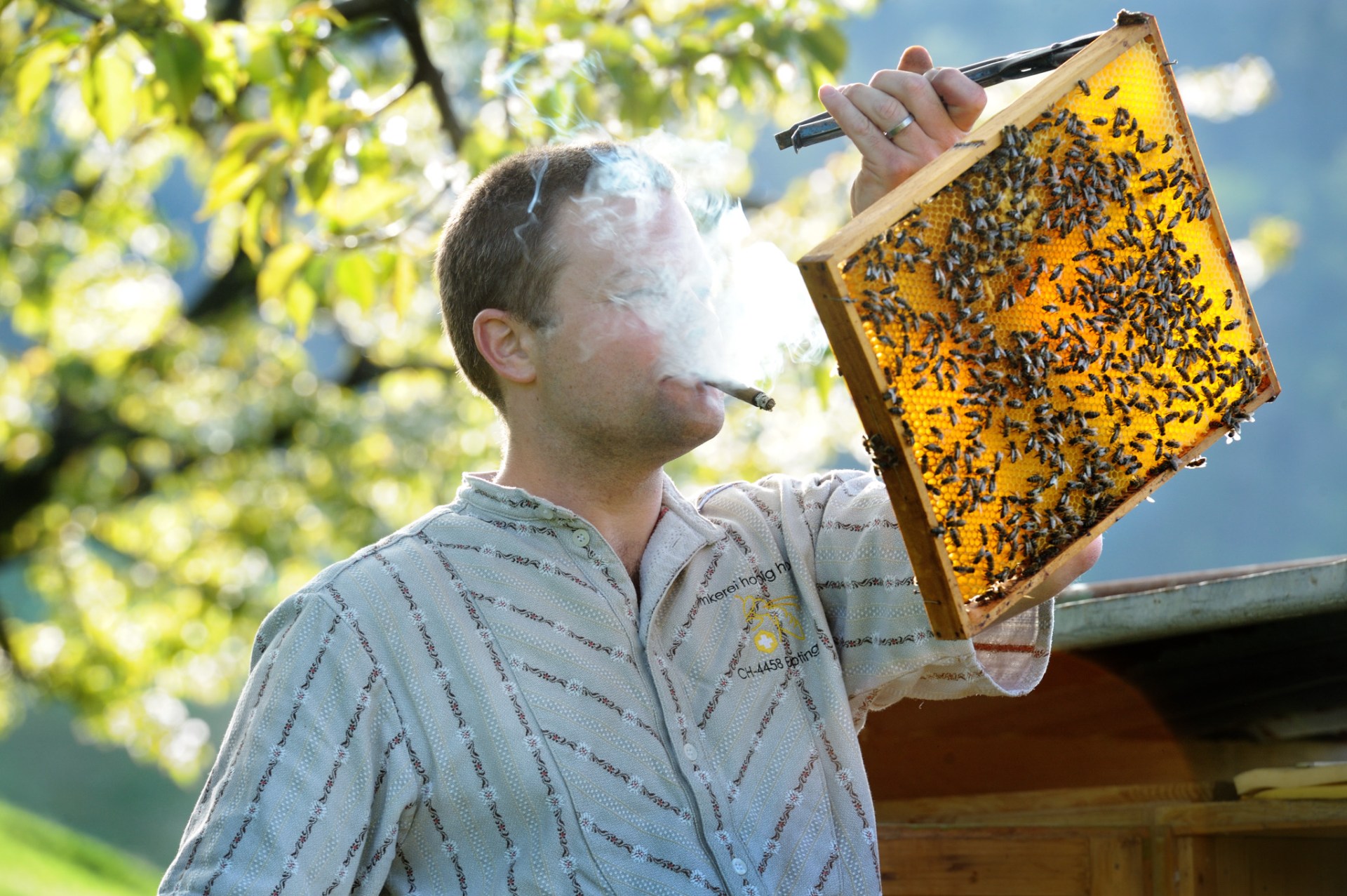 BEEKEEPER definição e significado