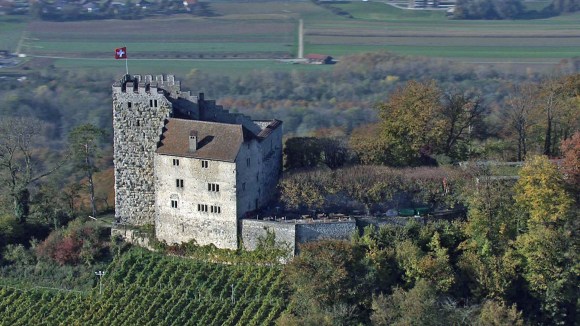 Habsburg castle from the air