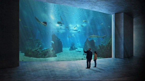Giant aquarium