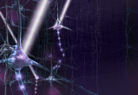The activity of neurons can be controlled using pulses of laser light delivered into the brain with an optical fibre