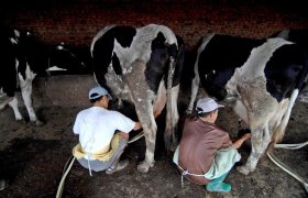 A Nestlé’ diary in China