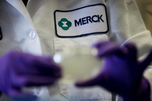 Merck employee