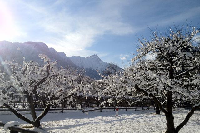 普段着で雪と戯れる 田舎での冬とのつき合い方 Swi Swissinfo Ch