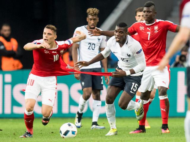 puma svizzera puma svizzera