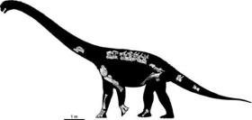 Espécie desconhecida de dinossauro gigante é descoberta na Austrália - SWI