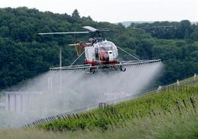 Ein Helikopter spritzt Reben gegen Schädlinge
