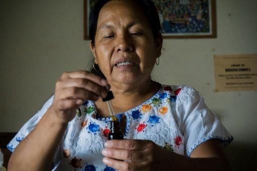 Una curandera indígena busca sanar el "cáncer" político-económico de México - SWI swissinfo.ch