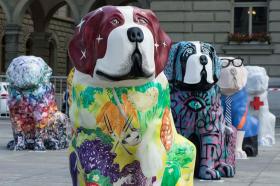 セントバーナードのパブリックアート ベルンに出現 Swi Swissinfo Ch セントバーナードのパブリックアート ベルンに出現 Swi Swissinfo Ch